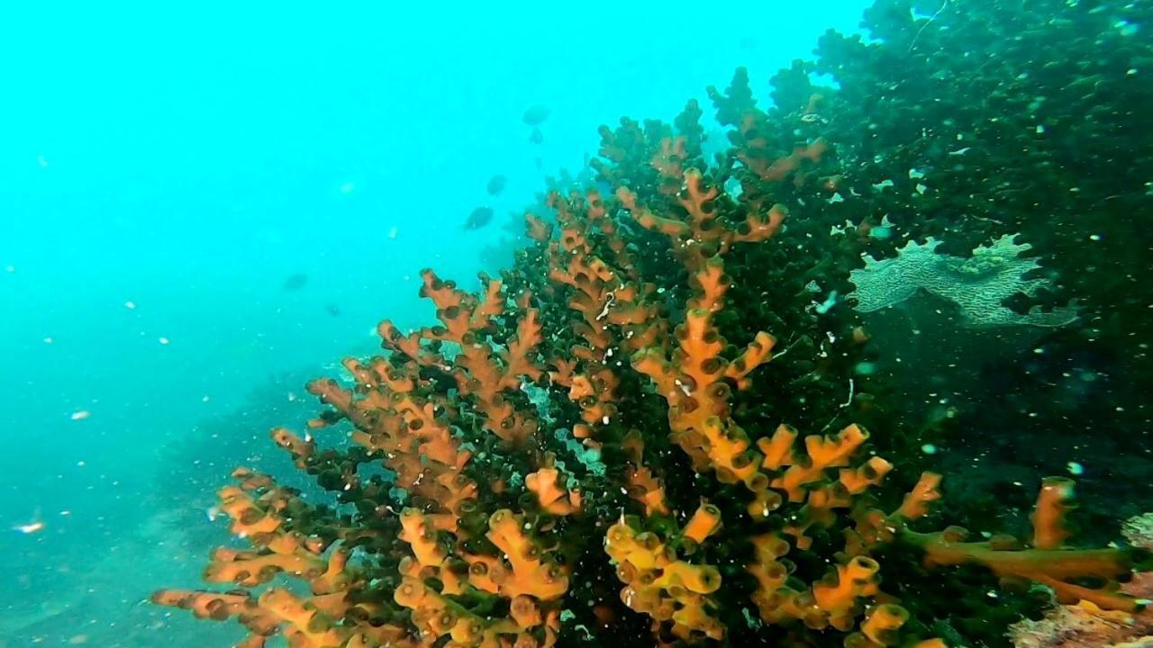 Ten Rooms Teluk Bakau Eksteriør billede